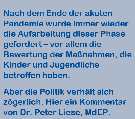 Anleser Peter Liese