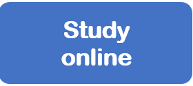 study online